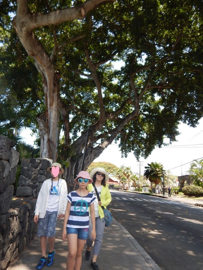 日陰に入ると、乾いた風が心地よい。。