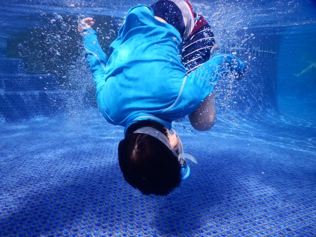 ちなみに小生のiPhoneにはIP68仕様の防水カバーを購入し、水中撮影が出来るようにしてますが水没保証はない為、結局使用しませんでした。。しかし、以前キャンプ中の豪雨で水没させているため、キャンプなどのアウトドアの時には安心な、装備です。。