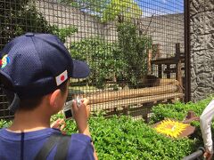 お昼ご飯を食べてやってきたのは大牟田市動物園
日傘をさしてたので写真が少ないな。

キャンプ場は涼しかったのに地上は暑い・・・
裏起毛パンツが気持ちワル((+_+))