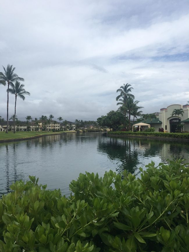 カハルウビーチパークから帰って来て、シャワーを浴びこれから徒歩でヒルトンワイコロアホテルに向かいます。