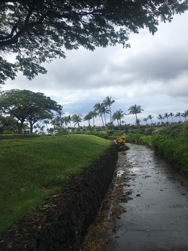 しかし、カイルアコナからの帰り道の嵐は、凄かった‼︎<br />大きなミニバンも風でフラフラ～～<br /><br />前が見えにくいほどの雨でした。。<br />