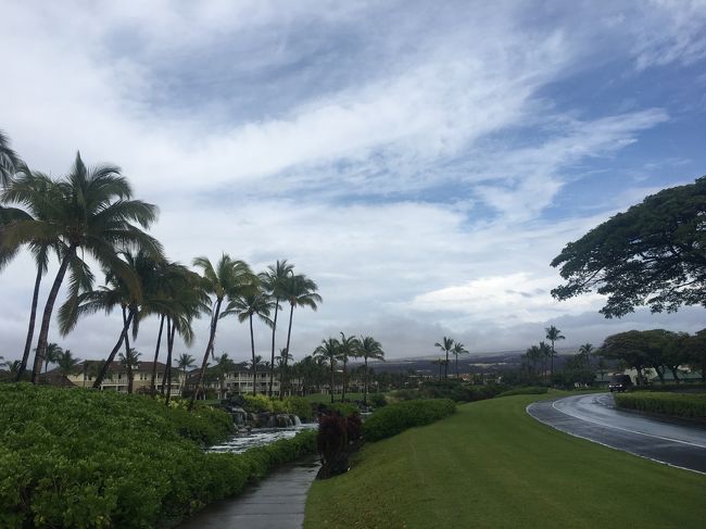 道路は濡れていましたが、嵐による被害はなさそうです。。、