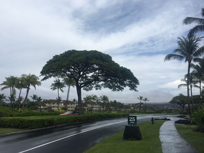 途中、近くのコンドミニアムから、dressyなカップルが。。男性は高価そうな真っ白のシャツに蝶ネクタイ、女性は、勿論ワイン色のドレス。。後ろに荷物を持った執事のような御仁が。。<br />小生の宿泊しているコンドミニアムは、もともとオーナーさんがいる訳なので、オーナーなのかなぁ。。<br />ヒルトンに入って行きました。。