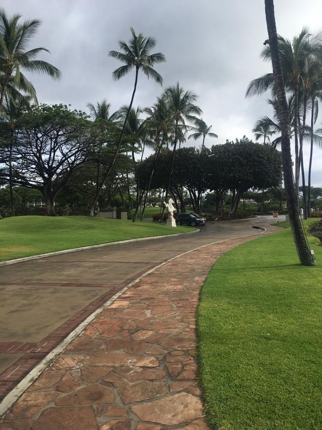 ゲートから車寄せまでは、長い坂のアプローチです。はぁはぁ。。<br />流石５つ星ラグジュアリーホテル。。