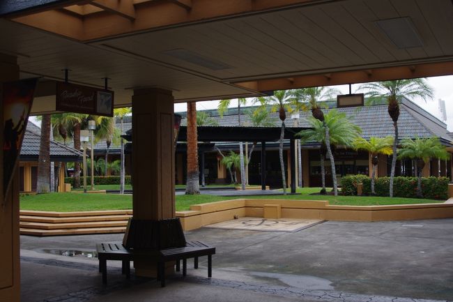 風がビュンビュンの場所で、ディナーを頂くのも、、と思っていたので、室内でユックリできそうです。<br />