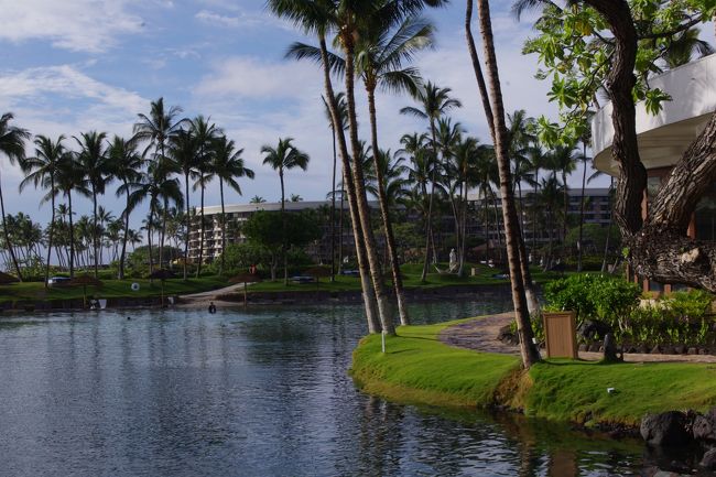 このプールに外国人が飛び込んでいましたが、あまり水が綺麗ではなくて。。<br />嵐のせいか？