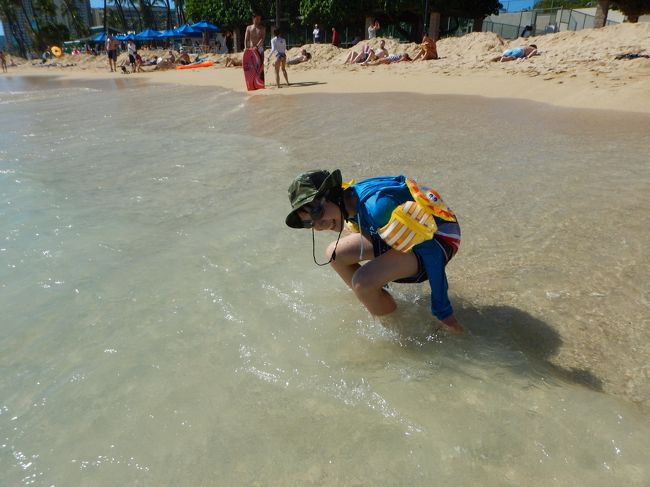 やはりオンザビーチコンドミニアムとして、有名なコンドのため、半年以上前には予約でいっぱいになることも。。<br /><br />今回はアウトリガー系では予約できず、キャッスルにお世話になりました。<br /><br />このコンドミニアムは3社ぐらい運営会社があります。<br /><br />簡単に言うと、アウトリガーワイキキショアはビーチ側。<br /><br />キャッスルワイキキショアは公園側が多いとか。。<br /><br />アウトリガー系のチェックインなら隣のアウトリガーリーフの駐車場、プールが利用可能です。<br /><br />キャッスなら、空いていれば地下駐車場を利用できます。