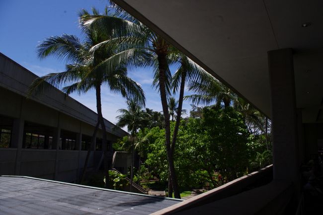 天候を心配しましたが、紫外線が強そうなHAWAII特有の良い天気です。。今のところ。。