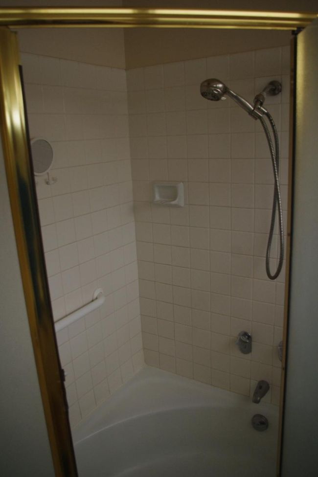 小さなバスタブとホース付きシャワー。。<br /><br />今回のお部屋は湯量、調整とも合格点でした。