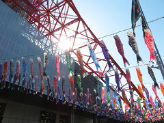 地図を見たら近いので
東京タワーの『さんまのぼり』を見に行きました。

写真だとわかりませんが、稚魚でした。