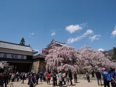 上田城の千本桜まつりに行きました。

平日でしたが、混みあっていました。

７分先咲き位と聞いていましたが、門の前の桜は、見事に満開でした。