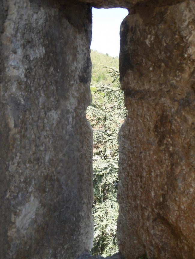 チェラーノ城（ピッコロミニ城）♪