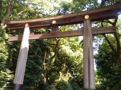 神社仏閣を参拝するなら、午前9時までが最適ではないでしょうか。
9時を過ぎると、どちらも混み出す印象が有ります。

初めて訪れる「明治神宮」
富士山から皇居へ向かう龍脈が合流する土地にあり、強力な龍穴パワースポット（大地の気がみなぎる場所）にあたるそうです。

こちらは表参道に面した「南参道鳥居」（第一鳥居）
欅並木が美しい表参道も、実は明治神宮の参道です。