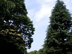 代々木公園を抜けて「代々木公園駅」へ向かいましょう。
平日の9時半、まだ空いています。

途中、朝ヨガをしているグループを発見。
そういえば、先ほどの「宝物殿」前の芝生広場で、ヨガを行えば効果が高そうです。