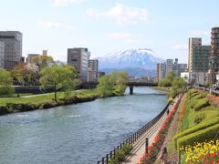 高松公園から街中めぐりをしながら駅まで来ました。
駅近くの開運橋からみる岩手山。