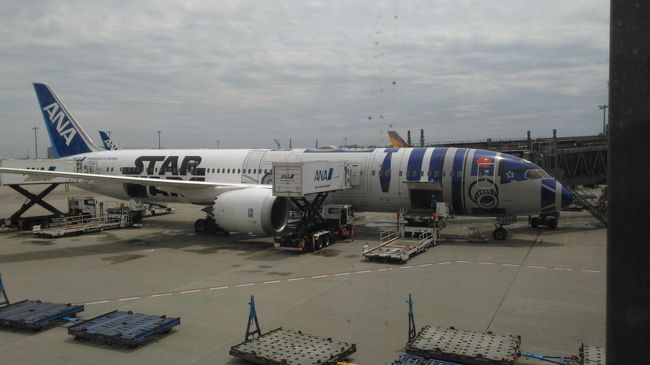 ボーディングブリッジを歩いていたら別のスターウォーズ仕様の飛行機がいました。