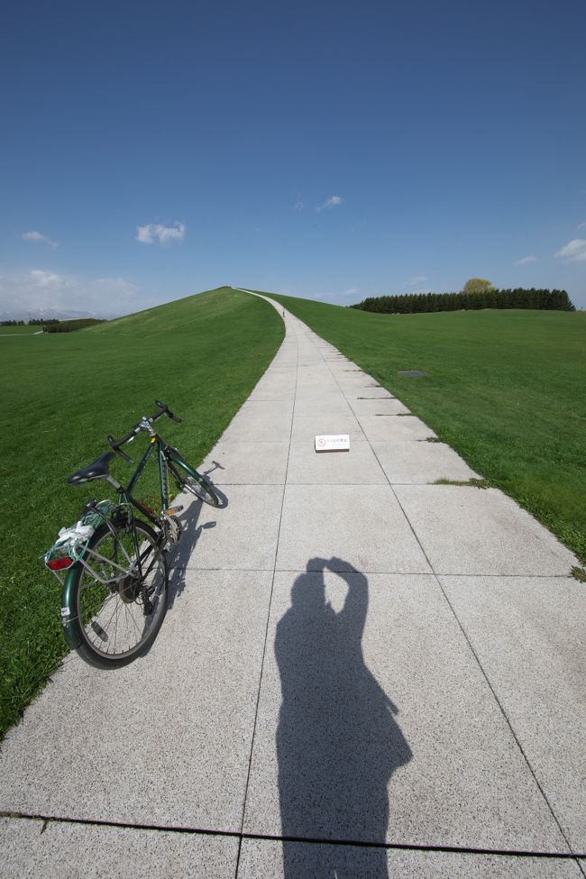 この公園は丘があって上ると周囲を展望できるようになっています。遠くに雪山が見えましたが、頂上は風が強くて寒すぎて数秒で降りてきました。