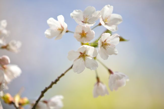 良い感じですね。