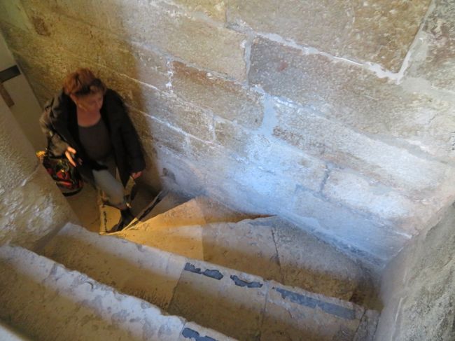 塔に登っています