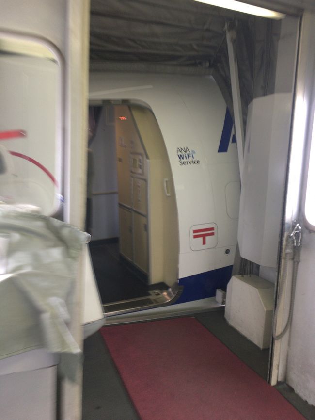 セキュリティチェックは混んでましたが、優先レーンでさくっと通って搭乗です。