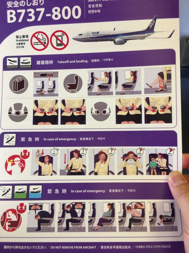 名古屋行きはたいてい７３７ですな