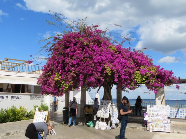 サンタ・ルジア展望台