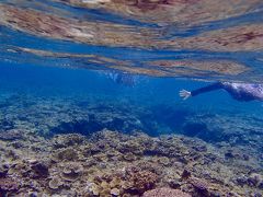 今日の状況で　入れるのは　宮古島広し？といえど
伊良部下地島「中の島」だけさ～
ってことで、これまた毎年お世話になっている　師匠のRYUさんの誘導で
シュノーケルをすることに
＊今回は、中の島OKでしたが、風向きによってはこちら側がNGになりますよ
　風向きと波の状況で入れるビーチは異なりますので、悪天候の時は、
　地元の方に確認が必要です＊

前日の気温とは  うって変わって　寒い！(◎_◎;)です
なので、ウエットスーツ借りました