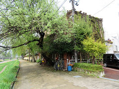 　雨は完全に上がりました。紺屋町周辺を散策していると中津川沿いにある蔦に覆われた喫茶店「ふかくさ」を発見。少し休憩していくことにします。