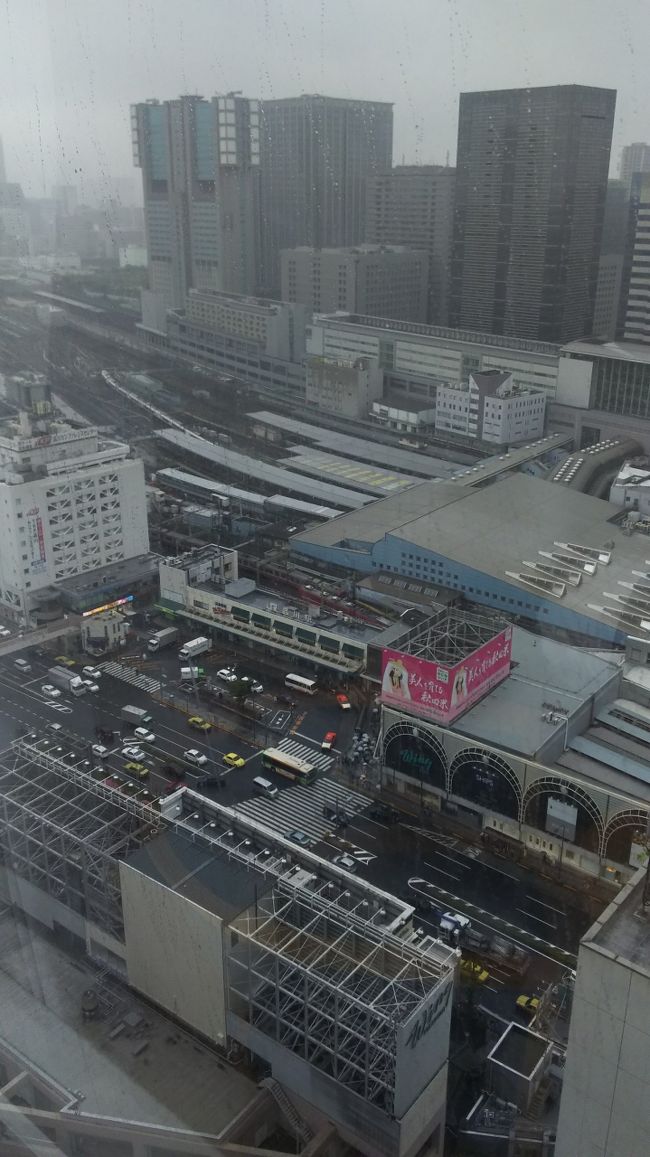 客室からの景色