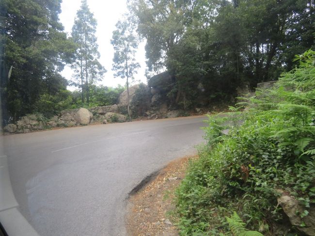 山道をグネグネスピードを上げて進みます。