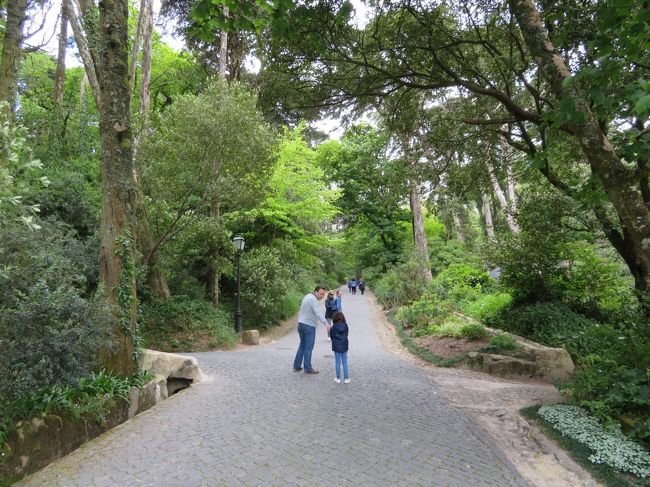 バスに乗らずに歩いて行きました。<br />そんなに大した坂ではなくて、十分歩いて行けます。