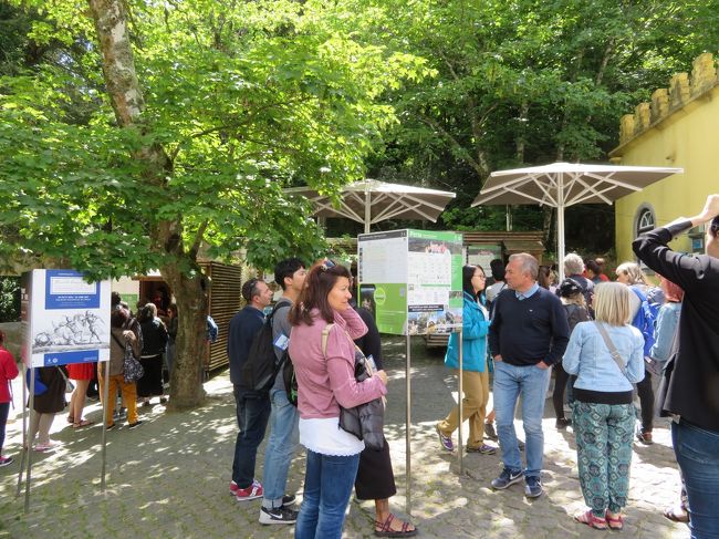 ほとんどの人がペーナ宮殿で降りました。<br /><br />窓口が全部開いているのですが、一人ひとりに対する説明が長いのか、なかなか列は進みません。<br />見ていると、まずチケットの説明を長々とした後カード払いの手続きをしています。<br />やっと順番が回って来たので、ペーナ宮殿とムーリスのコンビネーションチケットを買いました。<br />20.9ユーロ（ペーナ宮殿13.3ユーロ、ムーリス7.6ユーロ）でした。<br />