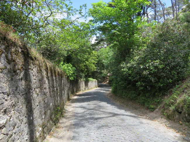 次にムーア人の城跡に行こうと歩いていたら、なんと全然違う方向へ歩いてた。<br />途中で変だと思ったけど、今更坂道を登るもの嫌だし、一方通行の道っぽいので434のバスに乗れるところまで降りていくことにした。<br /><br />狭い道で自動車が結構通るので危ないところもありました。