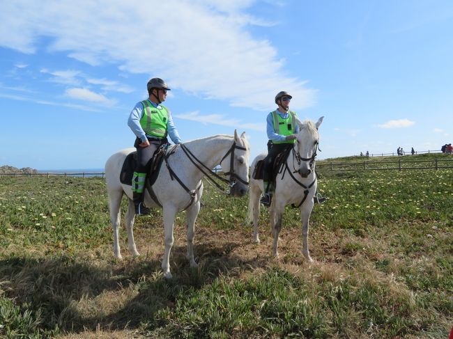 なぜか馬に乗った警察官です。<br />観光客の写真撮影にも気軽に応じていました。