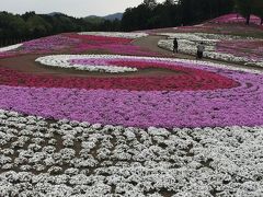 高崎へ帰る途中で地図上で気になったのと、看板が出ていたので、芝桜の公園に立ち寄ってみました。オフィシャル時間が終わってたので、人が全然いらっしゃらず。。。榛名湖にGWなのに穴場感を味わいましたｗ