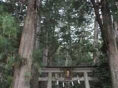 てっきり滝の近くに那智大社があるものと思っていたが、こちらは別宮の飛瀧神社。