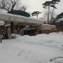 札幌雪まつりを見に行く旅　　雪まつり鑑賞編