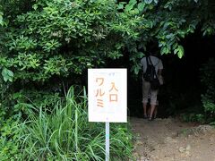 美ら海水族館を超えたところにあるパワースポットに行きました。

「備瀬のワルミ」