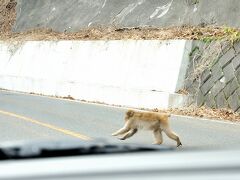 ロマンチック街道