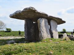 Poulnabrone dolmen（巨人のテーブル / ドルメン）

紀元前約4200-1423年にかけて築かれた特権階級の家族または一族の墳墓だそうです。