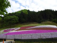 芝桜の小道へ出てきます