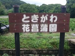 ときがわ花菖蒲園に到着しました。住民花づくりグループ「花菖蒲を育てる会」が町おこし・地域活性化のためにと、遊休農地１０，０００㎡に８,０００株以上の花菖蒲を植え付けているそうです。

