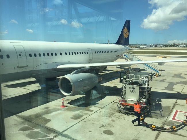 帰りはルフトハンザです。