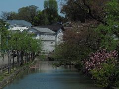 倉敷川の美観地区終点の高砂橋からの風景。
新緑にまざって八重桜のピンクが映えています。