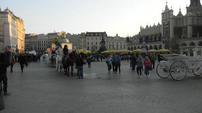 たくさんの馬車が駐車している。<br />みなさん上品で客引きはしていなかった。
