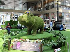 JR大阪駅ビル内の広場は今シーズン、芝生で飾られています・・