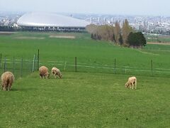 小樽からバビューンと移動して札幌の羊が丘展望台まで着ました。

夕方になってしまうとひつじの放牧が終わってしまうらしいので丁度いい時間に行けたかな

ついでに札幌ドームも見学した気分に