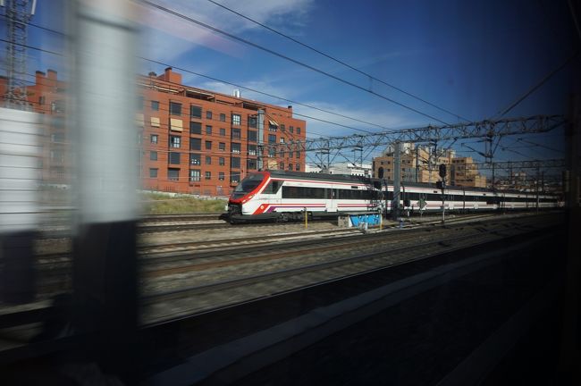 もう少し正面から撮りたいなあ。