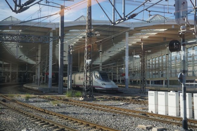 マドリッド・アトーチャ駅に到着します。