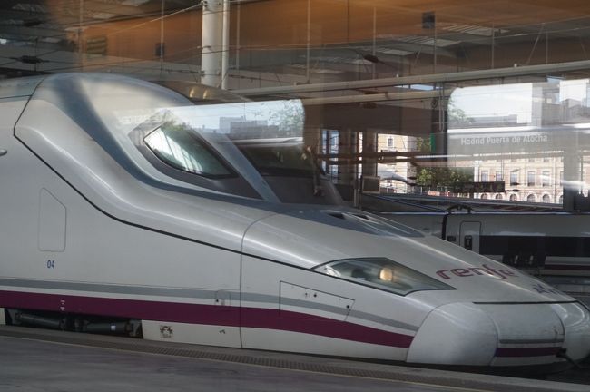 ロングノーズのAVE。